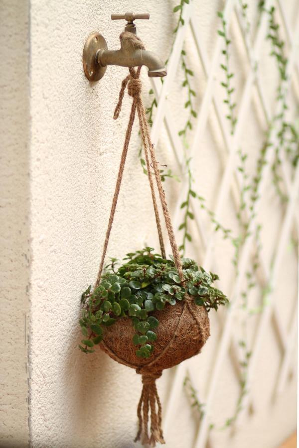 Apartment Right In The Heart Of Sete Sète Exterior foto